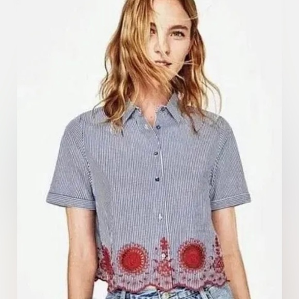 Zara Blue and Red Striped Crop Top